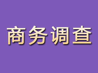 金山商务调查